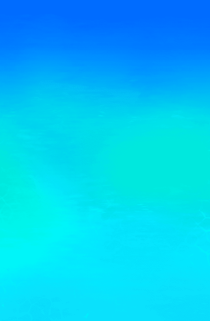 Sunny Beach